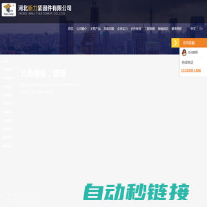 河北钢结构螺栓,河北扭剪型螺栓,钢结构用大六角螺栓,钢结构扭剪型螺栓,河北不锈钢螺栓-河北新力紧固件有限公司